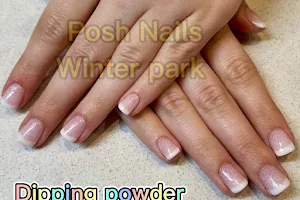 Posh Nails Winter Park image