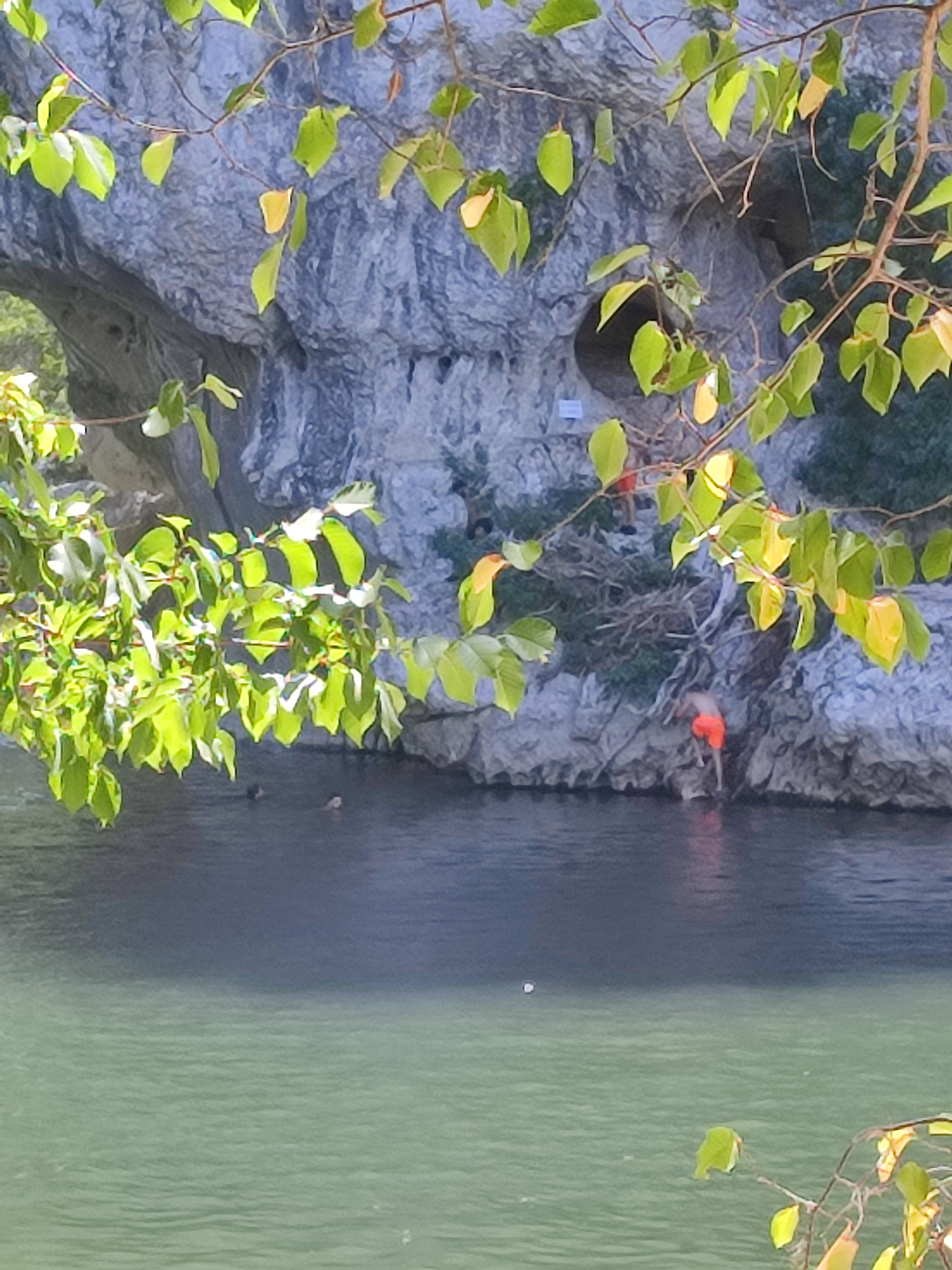 Photo n° 1 de l'avis de Pascal.a fait le 04/08/2022 à 08:42