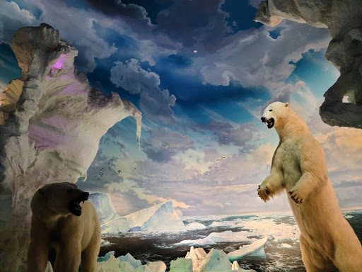 Aquarium «Wonders Of Wildlife National Museum & Aquarium», reviews and photos, 500 W Sunshine St, Springfield, MO 65807, USA