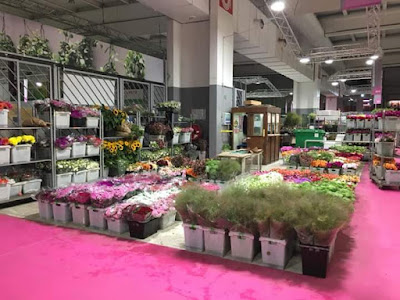Les serres de Misery - producteur de fleurs coupées en Essonne à Vert-le-Petit