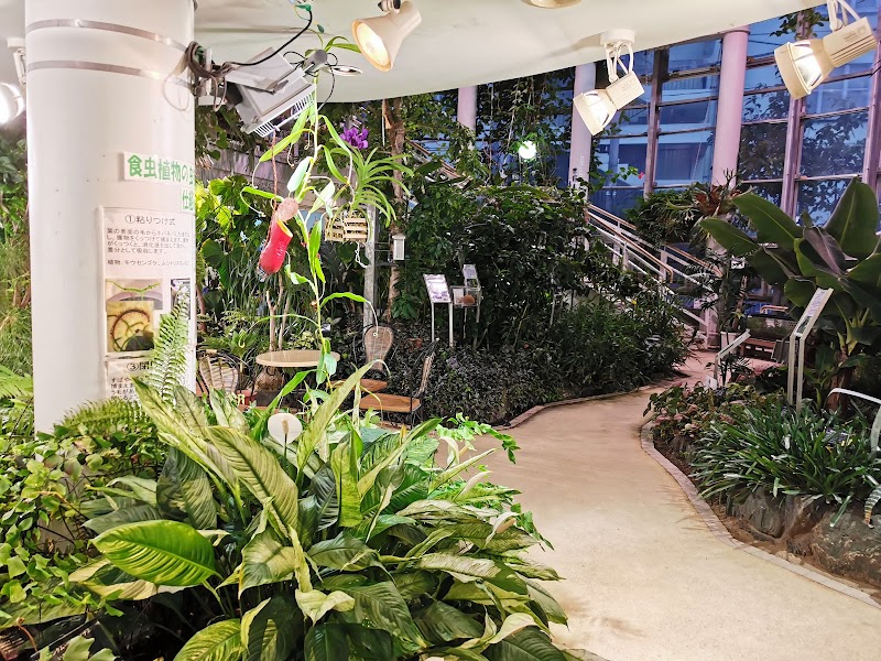 渋谷区ふれあい植物センター 東京都渋谷区東 植物園 公園 グルコミ