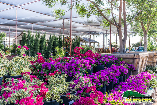 Desert Horizon Nursery & Landscape Design