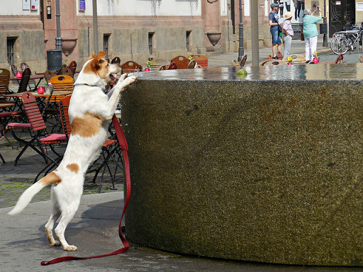 Park «Clark Park», reviews and photos, 4300-4398 Baltimore Ave, Philadelphia, PA 19104, USA