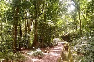 Parque Estadual da Pedra Branca - Núcleo Pau-da-Fome image