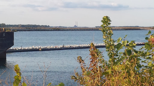 Golf Course «Thorne Brothers at Lilac Golf Course», reviews and photos, 9090 Armstrong Rd, Newport, MI 48166, USA