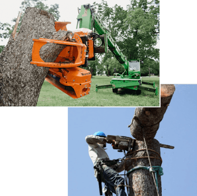 Tree Kings - Stump Removal Broadmeadows, Craigieburn, Epping, Fawkner, - Tree Removal Northern Suburbs Melbourne