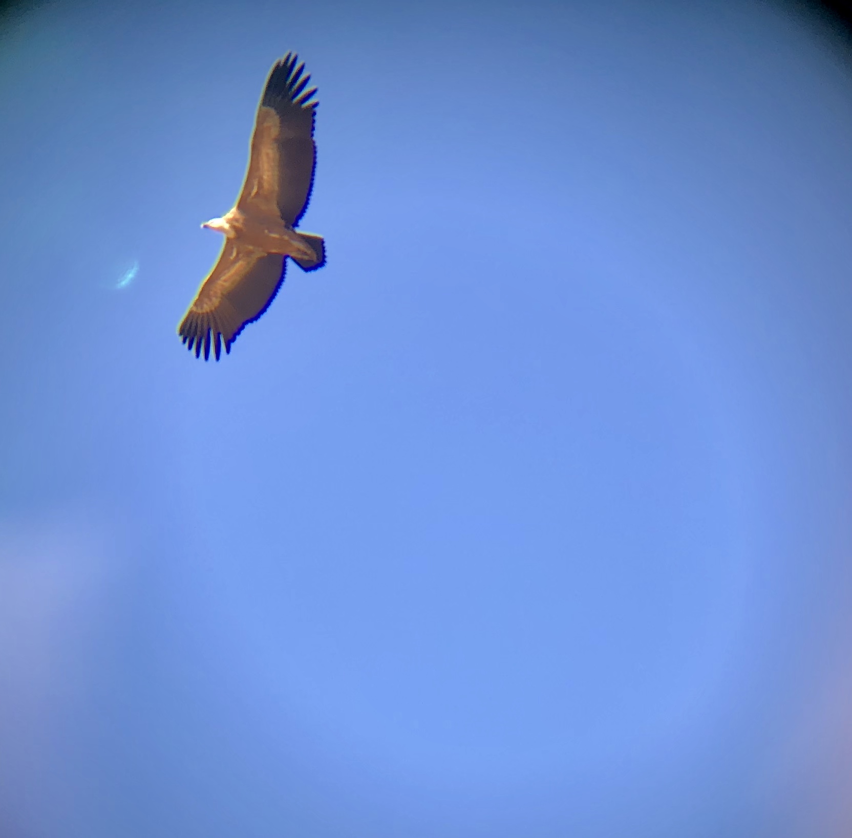 Photo n° 1 de l'avis de Cédric.o fait le 11/08/2019 à 13:23