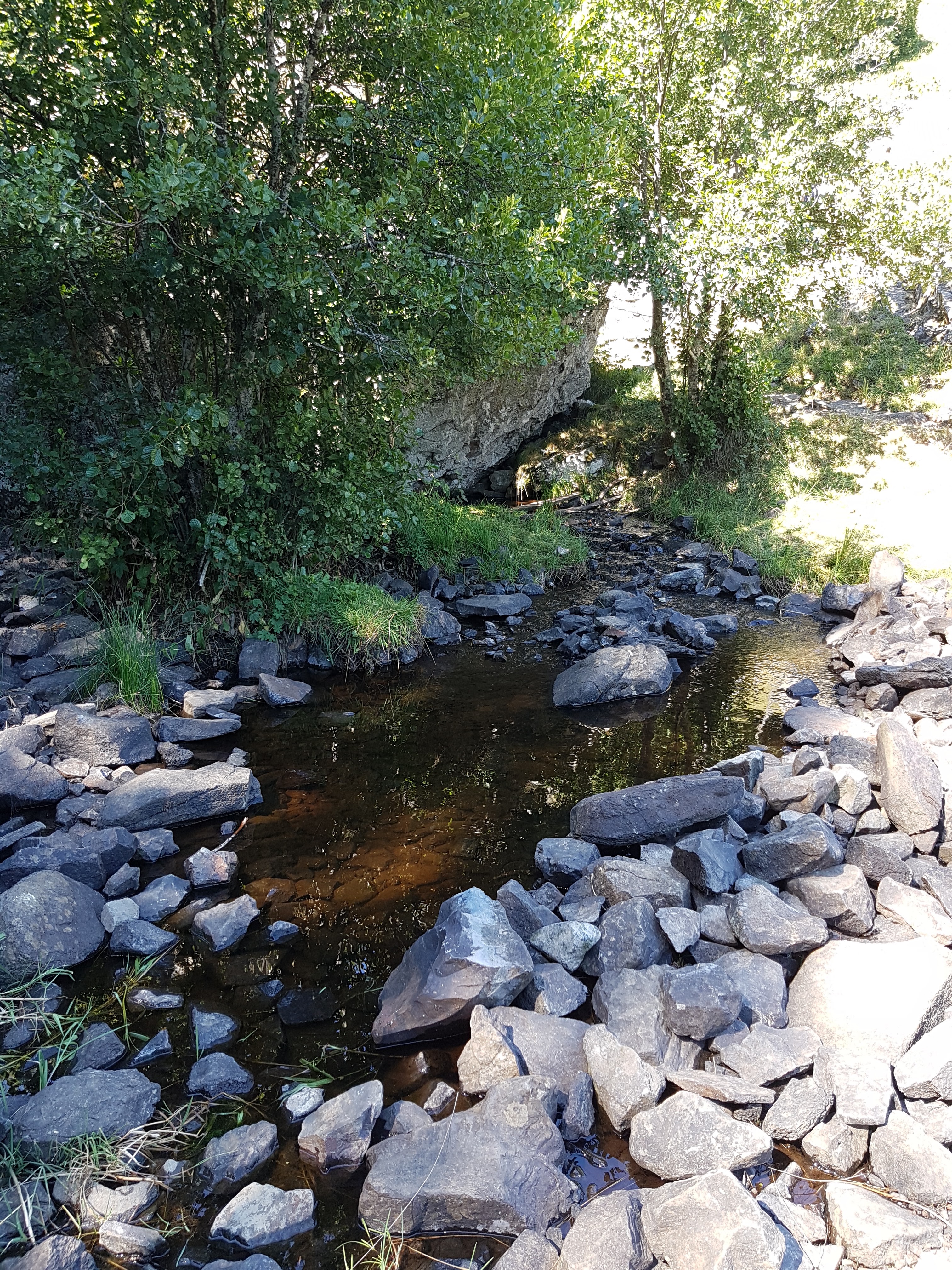 Photo n° 6 de l'avis de Lety.e fait le 21/08/2018 à 22:16