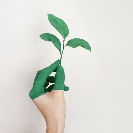 Logo da empresa - Pense sustentável