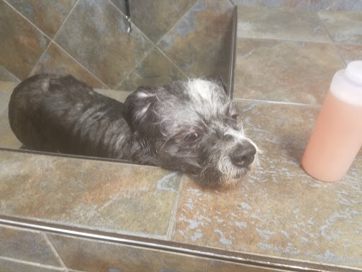 Pet Store «Pet Valu», reviews and photos, 604 Plaza Dr, Newark, DE 19702, USA