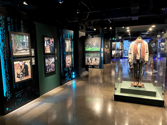 Reviews of The Harry Potter Photographic Exhibition in London - Photography studio