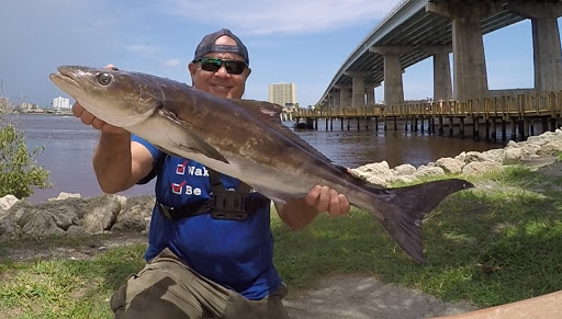 Marine Supply Store «West Marine», reviews and photos, 1300 W International Speedway Blvd #101, Daytona Beach, FL 32114, USA