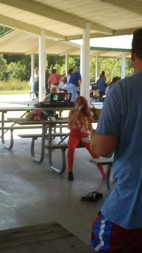 Discount Store «Dollar General», reviews and photos, 177 State Hwy AT, Villa Ridge, MO 63089, USA