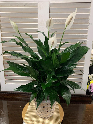 Florist «Stockbridge Florist & Gifts», reviews and photos, 118 N Berry St, Stockbridge, GA 30281, USA