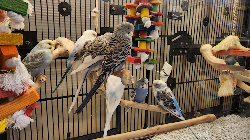 Pet Supply Store «PetSmart», reviews and photos, 901 US-1, North Brunswick Township, NJ 08902, USA