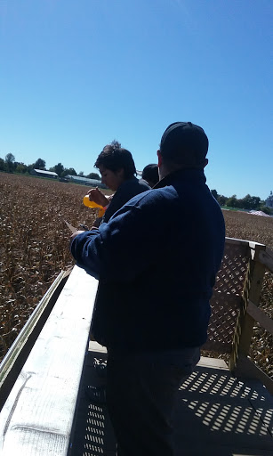 Tourist Attraction «Shipshewana Corn Maze», reviews and photos, 505 Morton St, Shipshewana, IN 46565, USA