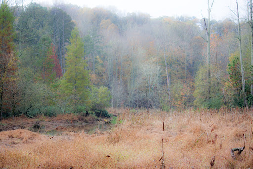 Nature Preserve «Melvin L. Newman Wetlands Center», reviews and photos, 2755 Freeman Rd, Hampton, GA 30228, USA