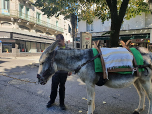 Photo n°30 de Le Glacier à Bagnères-de-Luchon ()