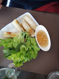 Plats et boissons du Restaurant vietnamien Au Coeur de L Asie à Lézignan-Corbières - n°11
