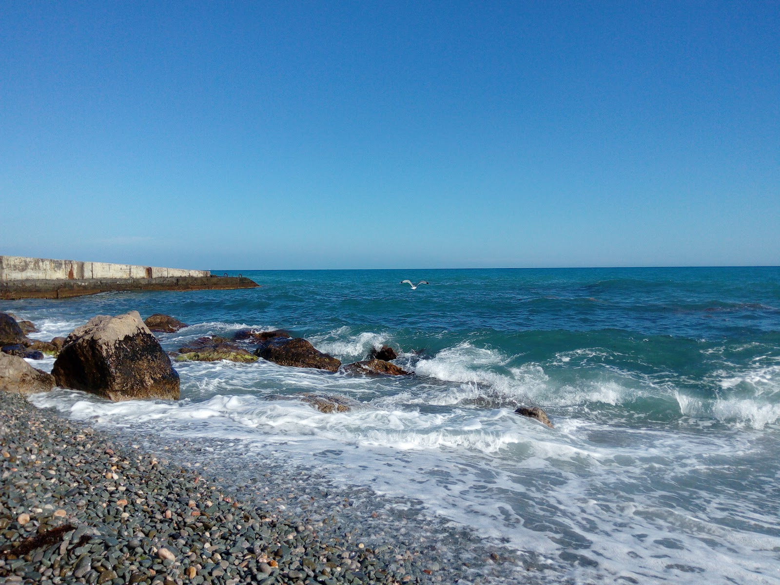 Foto de Parkovoe beach área de servicios