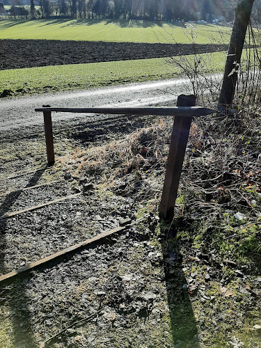 Rezensionen über FW Friedwald Baumbestattung in Uster - Bestattungsinstitut