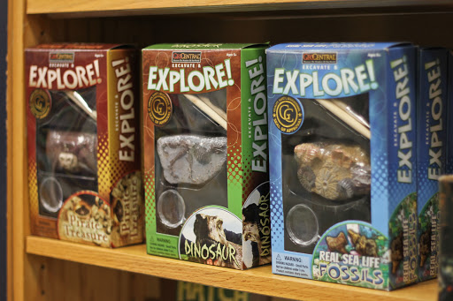 Toy Store «My Special Toy Store», reviews and photos, 5137 Main St, Downers Grove, IL 60515, USA