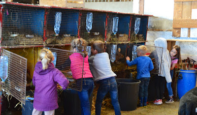 La Ferme de Woimbey à Woimbey