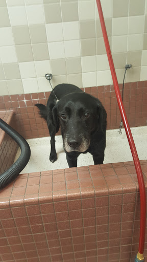 Pet Supply Store «Pet Food Express», reviews and photos, 2531 Fair Oaks Blvd, Sacramento, CA 95825, USA