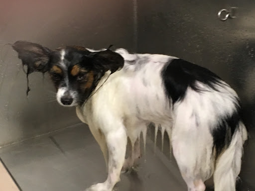 Pet Supply Store «Lemos Feed & Pet Supply», reviews and photos, 1320 Main St, Morro Bay, CA 93442, USA