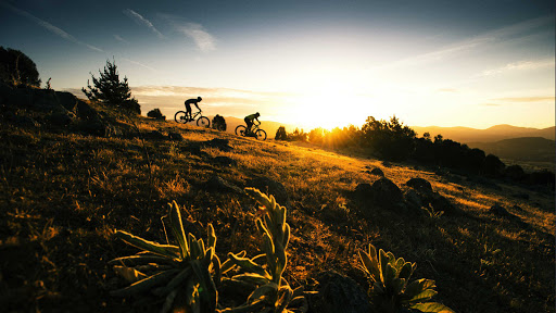 Bicycle Store «Trek Bicycle Store», reviews and photos, 7645 N Oracle Rd #100, Oro Valley, AZ 85704, USA