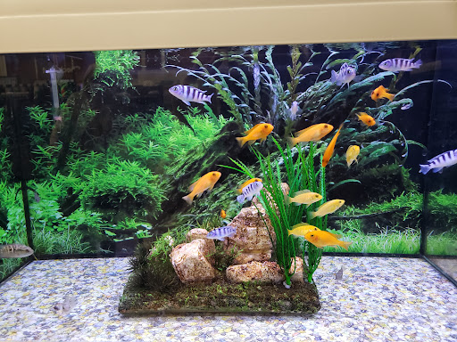 Pet Supply Store «Petco Animal Supplies», reviews and photos, 210 Nut Tree Pkwy, Vacaville, CA 95687, USA