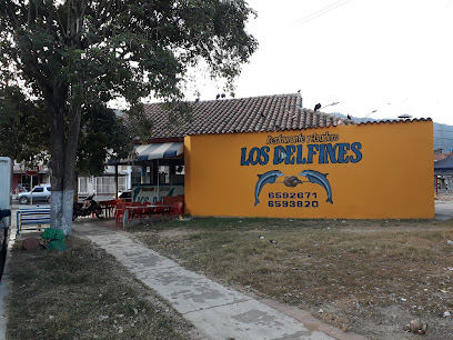 Restaurante Y Asadero Los Delfines - Cra. 26 #9 - 06, Girón, Santander, Colombia