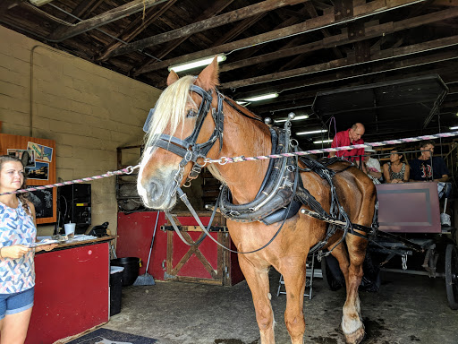 Historical Landmark «Historic Charleston City Market», reviews and photos, 188 Meeting St, Charleston, SC 29401, USA