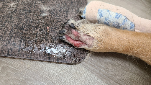 5719 Plank Rd, Fredericksburg, VA 22407, USA