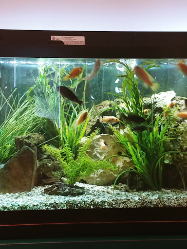 Pet Supply Store «IncrediPet», reviews and photos, 306 Southland Dr, Lexington, KY 40503, USA