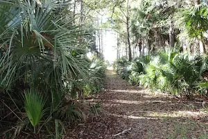 Seminole State Forest image