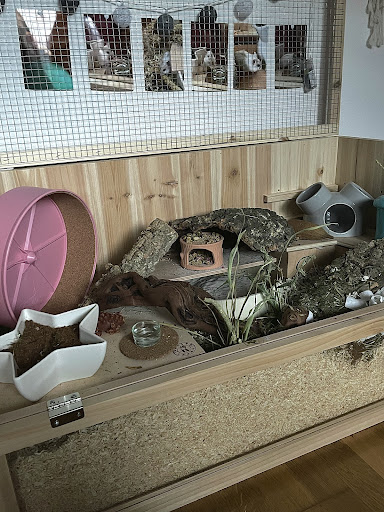 GetZoo.de - Onlineshop für artgerechte Haltung von Nager & Co. unter Hagen, 