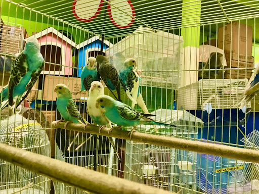 Pet Supply Store «E & M Pet Shop», reviews and photos, 5900 Whittier Blvd, Los Angeles, CA 90022, USA