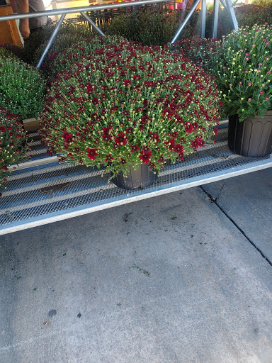 Produce Market «Miller Farms», reviews and photos, 10140 Piscataway Rd, Clinton, MD 20735, USA