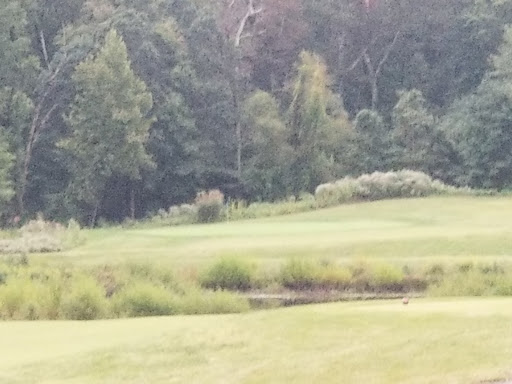 Golf Club «Compass Pointe Golf Courses», reviews and photos, 9010 Fort Smallwood Rd, Pasadena, MD 21122, USA