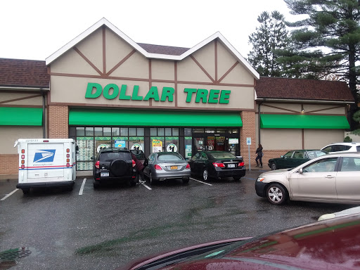 Dollar Store «Dollar Tree», reviews and photos, 250 Jericho Turnpike #80, Floral Park, NY 11001, USA