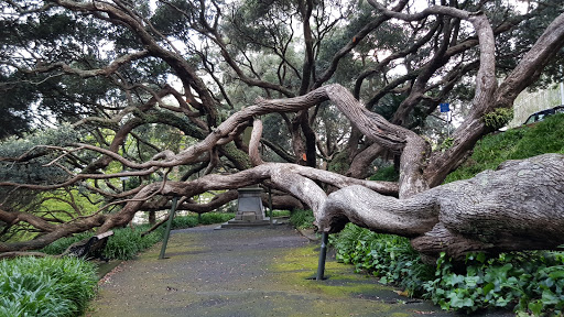 Emily Place Reserve