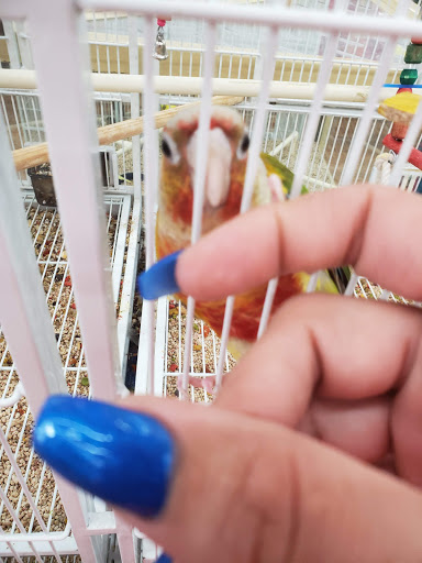 Pet Supply Store «Pet Supermarket», reviews and photos, 2649 E Gulf to Lake Hwy, Inverness, FL 34452, USA