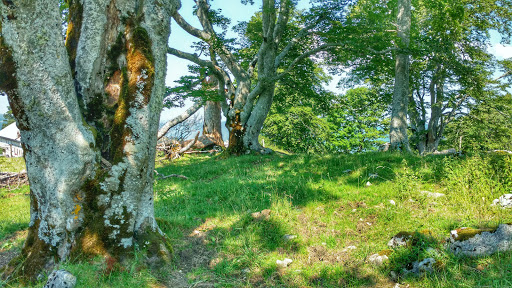 site_photo4