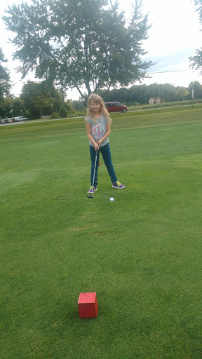 Golf Course «Dundee Golf Club», reviews and photos, 13851 S Custer Rd, Dundee, MI 48131, USA