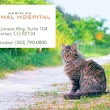 Meridian Animal Hospital