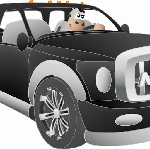 Moo Loans - Car Title Loans