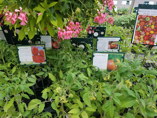 Farm «Dreyer Farms», reviews and photos, 831 Springfield Ave, Cranford, NJ 07016, USA