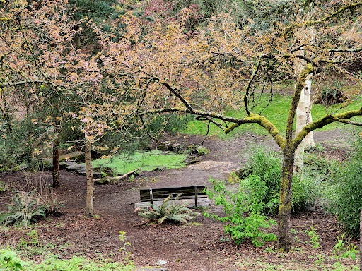 Park «Mt. Baker Park», reviews and photos, 2521 Lake Park Dr S, Seattle, WA 98144, USA