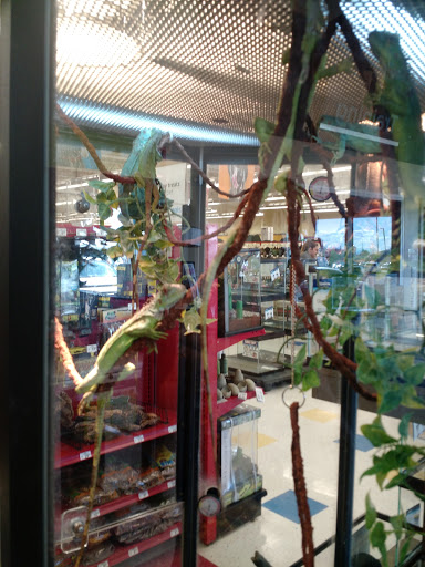Pet Supply Store «Petco Animal Supplies», reviews and photos, 85 State St, Orem, UT 84058, USA